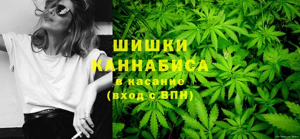 сатива Алексин