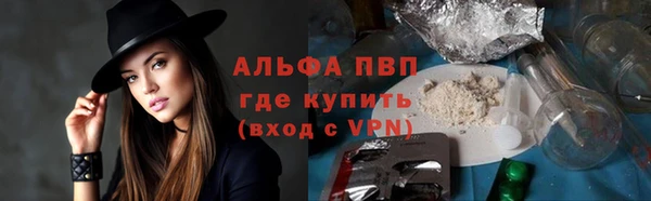 сатива Алексин
