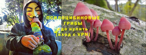 сатива Алексин